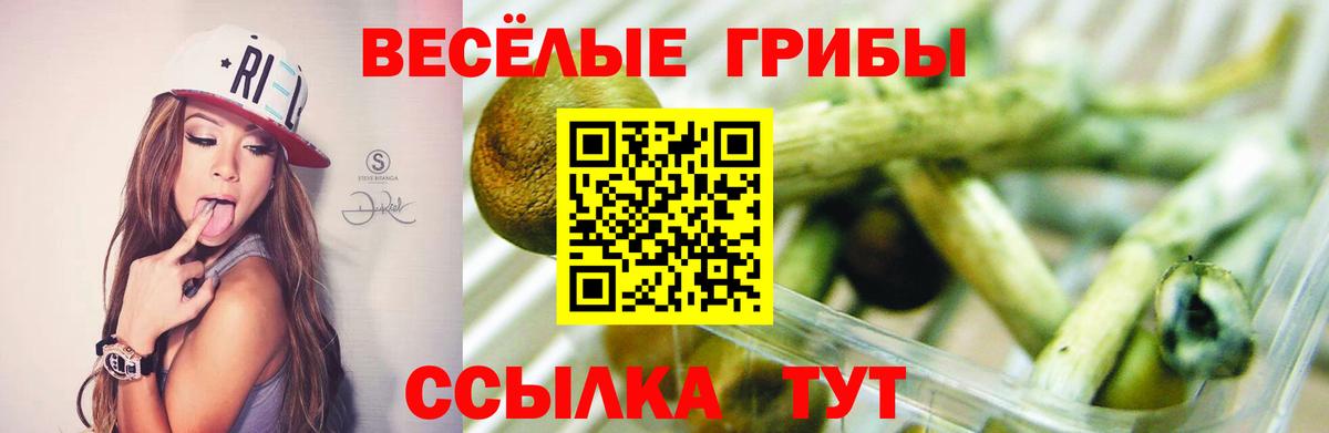 Псилоцибиновые грибы MAGIC MUSHROOMS Усть-Лабинск